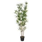 Topfpflanze, künstlich drinnen/draußen/Bambus im IKEA Prospekt Topfpflanze, künstlich drinnen/draußen/Bambus von FEJKA im aktuellen IKEA Prospekt für 49,99 €