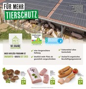 Aktueller Marktkauf Prospekt mit Würstchen, "Aktuelle Angebote", Seite 8