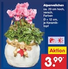 Netto Marken-Discount - Alpenveilchen Angebot im Prospekt Alpenveilchen bei Netto Marken-Discount im Prospekt "" für 3,99 €