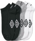 Sneakersocken bei Netto mit dem Scottie im Staßfurt Prospekt für 4,99 €