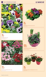 Plantes Angebote im Prospekt "AIMEZ VOTRE JARDIN" von Intermarché Super auf Seite 2