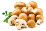 Kultur-champignons braun im Netto mit dem Scottie Prospekt Kultur-champignons braun im aktuellen Netto mit dem Scottie Prospekt für 1,19 €