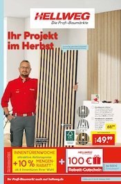Dekoration im Hellweg Prospekt in Nordhausen Aktueller Hellweg Prospekt mit Dekoration, "Die Profi-Baumärkte", Seite 1
