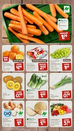 Aktueller nahkauf Prospekt mit Bio, "nichts liegt näher", Seite 3