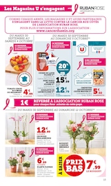 Orchidée Angebote im Prospekt "U Express" von U Express auf Seite 13