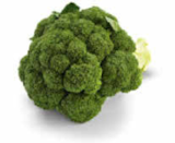 Kohl im Netto Marken-Discount Prospekt Broccoli von HEIMAT im aktuellen Netto Marken-Discount Prospekt für 0,99 €