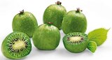 Kiwibeeren im Angebot bei REWE in Speyer Kiwibeeren Angebote bei REWE Speyer für 1,79 €