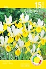 Iris im Angebot bei Thomas Philipps in Kamen Iris Angebote bei Thomas Philipps Kamen für 1,99 €