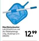 Oberflächenkescher im aktuellen Hellweg Prospekt