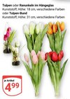 Tulpen im Hängeglas Angebote bei GLOBUS Oberhausen für 4,99 €