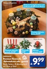 Premium-Adventskranz Angebote von Gardenline bei ALDI SÜD Konstanz für 9,99 €