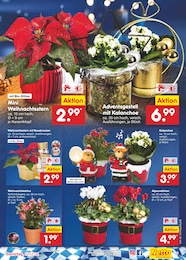 Netto Marken-Discount Nussknacker im Prospekt 