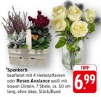 Spankorb im Angebot bei EDEKA in Bad Kreuznach Spankorb Angebote bei EDEKA Bad Kreuznach für 6,99 €