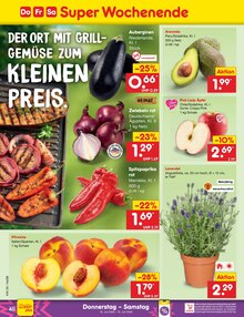 Blumen im Netto Marken-Discount Prospekt "Aktuelle Angebote" mit 73 Seiten (Hamburg)
