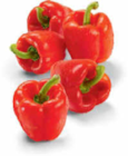 Paprika rot im Angebot bei Netto Marken-Discount in Flensburg Paprika rot Angebote bei Netto Marken-Discount Flensburg für 1,35 €