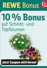 Aktuelle Pflanzen Angebote bei REWE in Hamm Aktuelles 10 % Rabatt Angebot bei REWE in Hamm