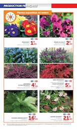 Prix et réduction Hortensia dans le prospectus Hyper U en cours Offre Hortensia dans le catalogue Hyper U du moment à la page 6