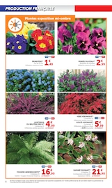 Hortensia Angebote im Prospekt "LES PRIX BAS du jardin" von Hyper U Hortensia Angebote im Prospekt "LES PRIX BAS du jardin" von Hyper U auf Seite 6