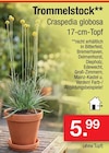 Zimmermann - Trommelstock Angebot im Prospekt Trommelstock bei Zimmermann im Prospekt "" für 5,99 €