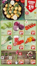 Kartoffeln im REWE Prospekt in Hannover Aktueller REWE Prospekt mit Kartoffeln, "Dein Markt", Seite 9