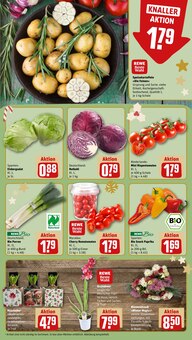 Blumen im aktuellen REWE Prospekt (Hannover) Blumen im REWE Prospekt "Dein Markt" mit 22 Seiten (Hannover)