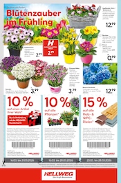 Aktueller Hellweg Prospekt mit Kissen, "Wunderschne Blütenpracht", Seite 16