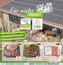 Braten im aktuellen Marktkauf Prospekt (Freiburg (Breisgau)) Braten im Marktkauf Prospekt "Aktuelle Angebote" mit 57 Seiten (Freiburg (Breisgau))