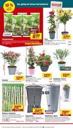 Rindenmulch Angebot im aktuellen toom Baumarkt Prospekt auf Seite 6