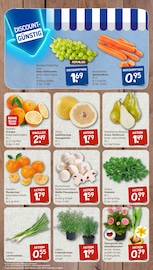 Garten im nahkauf Prospekt in Rosenheim Aktueller nahkauf Prospekt mit Garten, "nichts liegt näher", Seite 3