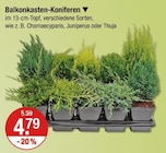 Balkonkasten-Koniferen von  im aktuellen V-Markt Prospekt für 4,79 €