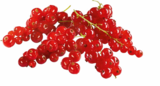Aktuelles Johannisbeeren Angebot bei Netto Marken-Discount in Wuppertal ab 1,99 €