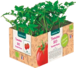 Pack de 6 plants de legumes bio - GARDENLINE dans le catalogue Aldi