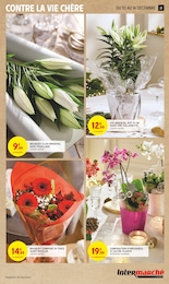 Offre Plante D'intérieur dans le catalogue Intermarché Hyper du moment à la page 21
