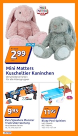 Pool im Action Prospekt in Plauen Aktueller Action Prospekt mit Pool, "Wochenangebote", Seite 10