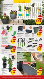 Schuhe Angebot & Preis im aktuellen Penny Prospekt Schuhe Angebot im aktuellen Penny Prospekt auf Seite 30