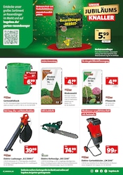 Aktueller Hagebaumarkt Prospekt mit Gartenerde, "UNSER JUBILÄUMSGEWINNSPIEL", Seite 7