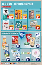 REWE Hundefutter im Prospekt 