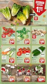 Aktueller REWE Prospekt mit Blumen, "Dein Markt", Seite 9