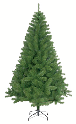 Weihnachtsbaum „Keystone“ Angebote von toom bei toom Baumarkt Wernigerode für 49,99 €