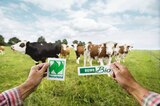 Ingwer Shot mit Apfelsaft von REWE Bio für 0,99 € bei REWE im Angebot Ingwer Shot mit Apfelsaft von REWE Bio im aktuellen REWE Prospekt