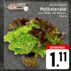 Multicolorsalat bei EDEKA im Enger Prospekt für 1,11 €