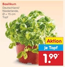 Basilikum im Angebot bei Netto Marken-Discount in Magdeburg Basilikum Angebote bei Netto Marken-Discount Magdeburg für 1,99 €