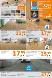 Bauer Angebote im Prospekt "Immer eine Idee besser" von Globus-Baumarkt Bauer Angebote im Prospekt "Immer eine Idee besser" von Globus-Baumarkt auf Seite 3