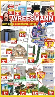 Aktueller Wreesmann Prospekt "DEIN SAISON- & SONDERPOSTENMARKT!" Seite 1 von 12 Seiten für Ottendorf-Okrilla