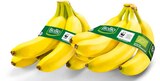 Bio Bananen im Angebot bei Netto Marken-Discount in Lörrach Bio Bananen Angebote von BioBio bei Netto Marken-Discount Lörrach für 1,69 €