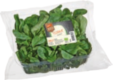 Aktuelles Bio-Feldsalat Angebot bei tegut in Frankfurt (Main) ab 1,99 €