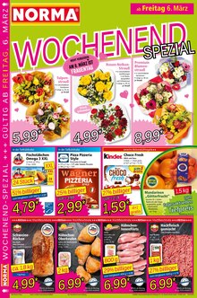 Pizza im Norma Prospekt "Mehr fürs Geld" mit 20 Seiten (Duisburg)