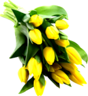 Auchan Supermarché Saint-Galmier - Promo BOUQUET 14 TULIPES Promo BOUQUET 14 TULIPES à 7,49 € dans le catalogue Auchan Supermarché à Saint-Galmier