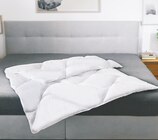 Kuschelsteppbett Angebote von f.a.n. bei Netto mit dem Scottie Stralsund für 29,99 €