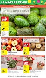 Jardinage en promo dans le catalogue Carrefour Market à la page 25